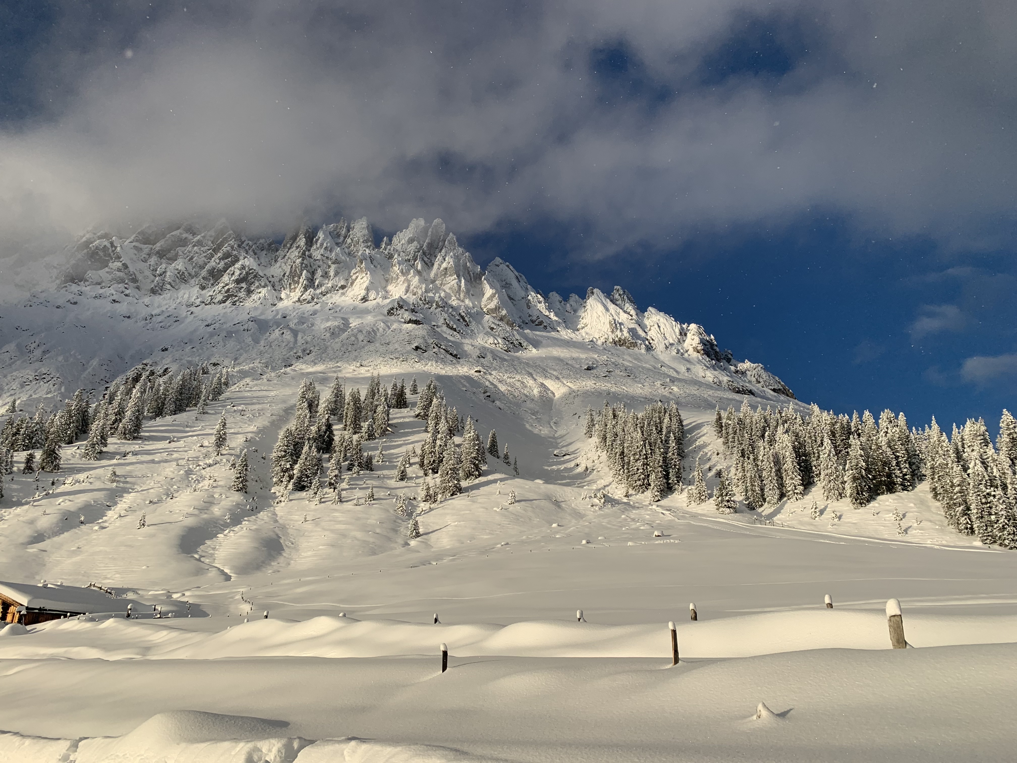 Sonnenlicht auf verschneiten Berggipfeln, Tannen und einer weiten Schneelandschaft.